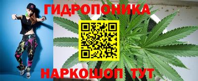 apvp Заводоуковск