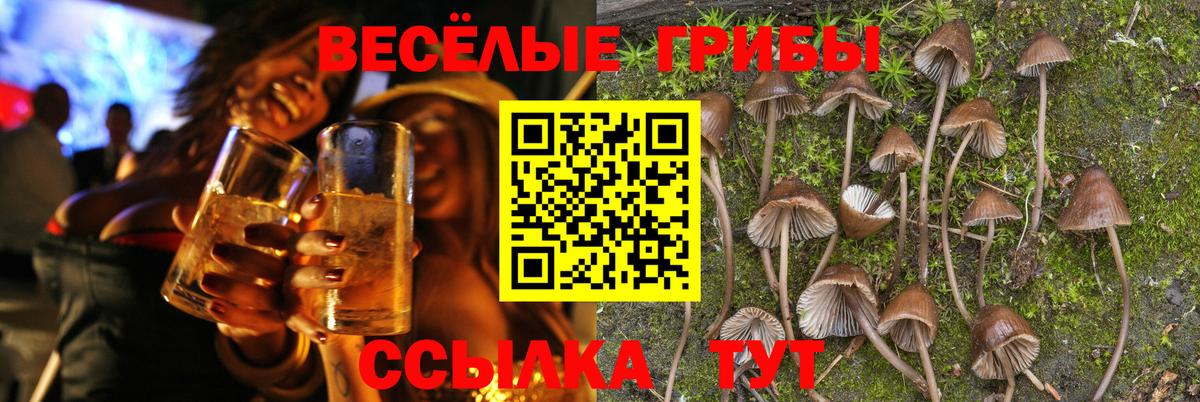 Псилоцибиновые грибы мицелий  Псилоцибиновые грибы Cubensis  Моздок  Вход с VPN 