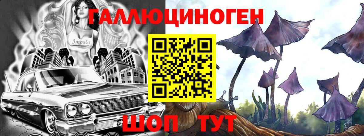 Псилоцибиновые грибы GOLDEN TEACHER Моздок
